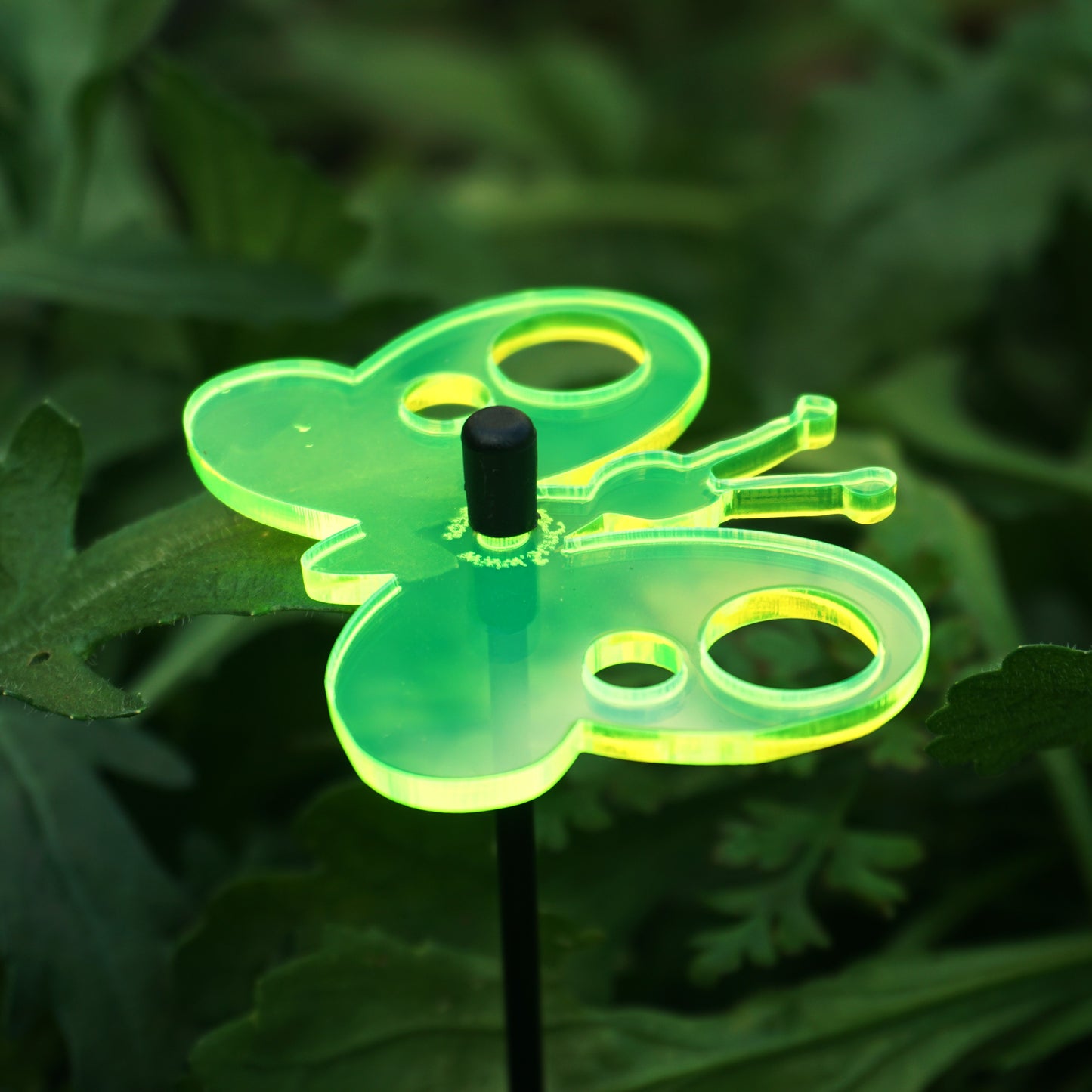 Small Garden Décor Ornaments Set of 5 'Peacock Butterfly'