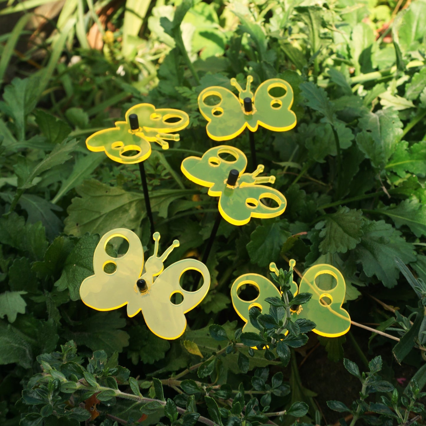 Small Garden Décor Ornaments Set of 5 'Peacock Butterfly'