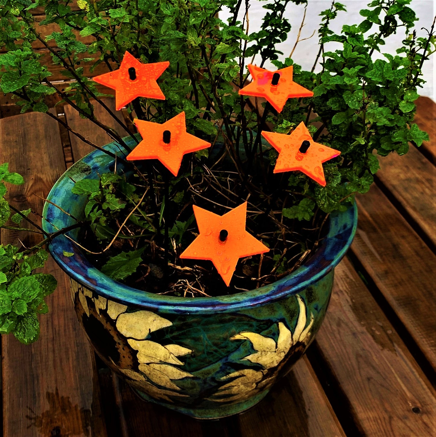 Garden Décor Ornaments Set of 5 small 'Shining Stars'