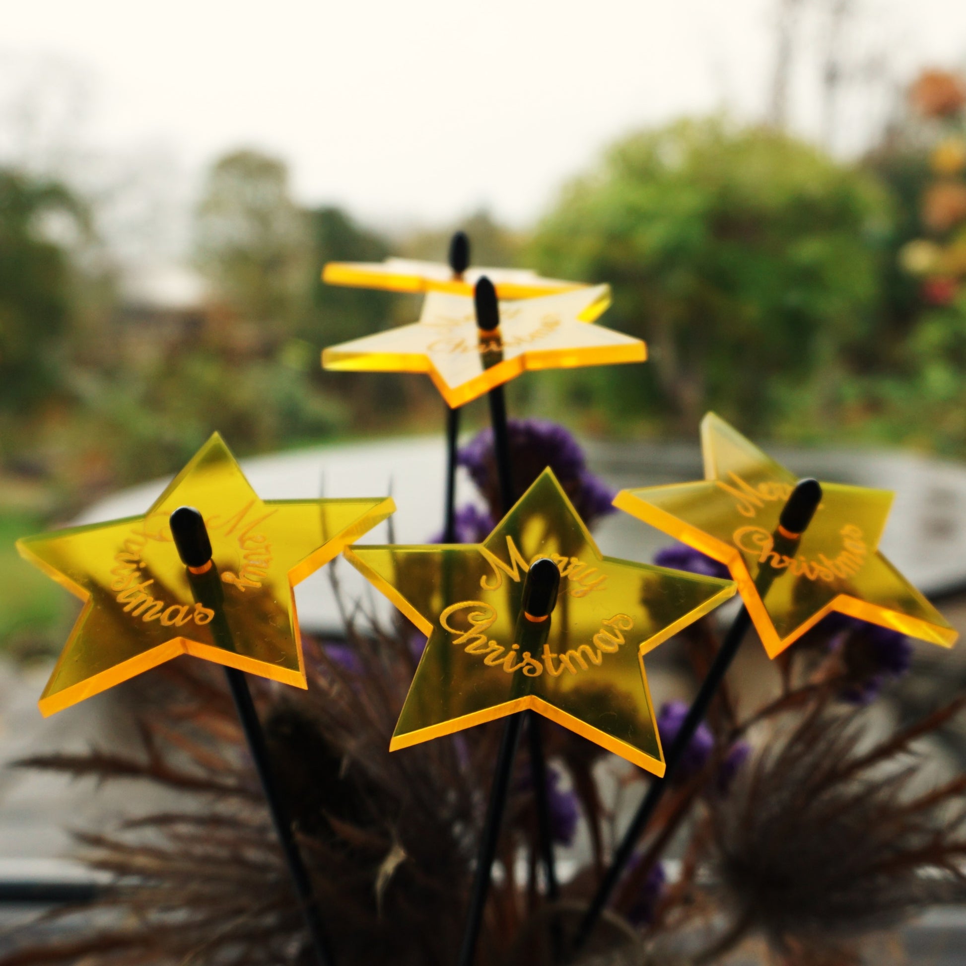 SunCatcher Set of 5 Glowing Stars with Merry Christmas Message Festive Gift