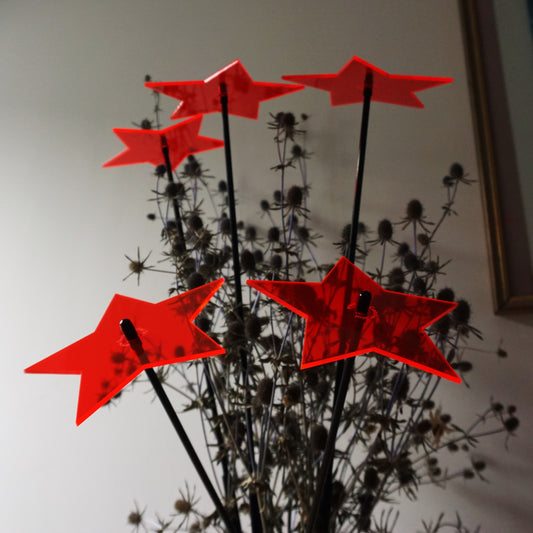 Shining Stars Set of 5 Large SunCatcher Garden Decor Ornamental Garden Stakes 75cm/29.5'' high Indoor Outdoor Accessory Gardeners Gift