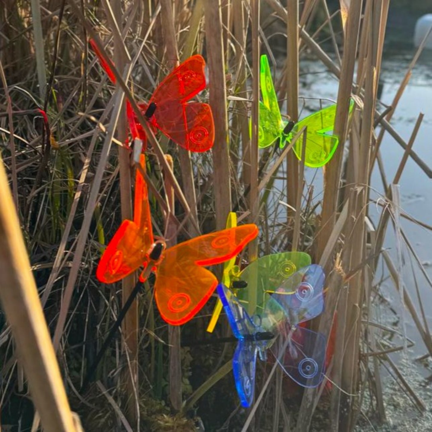 SunCatcher Admiral Butterfly Garden Stakes – Set of 5 3D Fluorescent Glowing Outdoor Garden Decorations (30cm high)