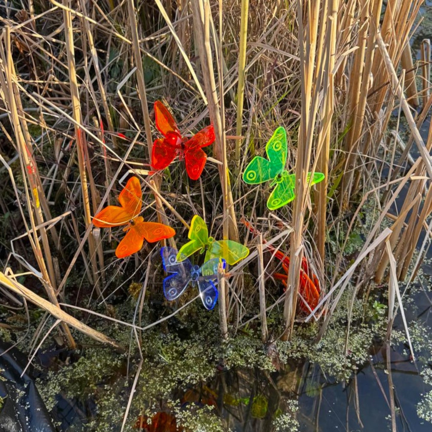 SunCatcher Admiral Butterfly Garden Stakes – Set of 5 3D Fluorescent Glowing Outdoor Garden Decorations (30cm high)