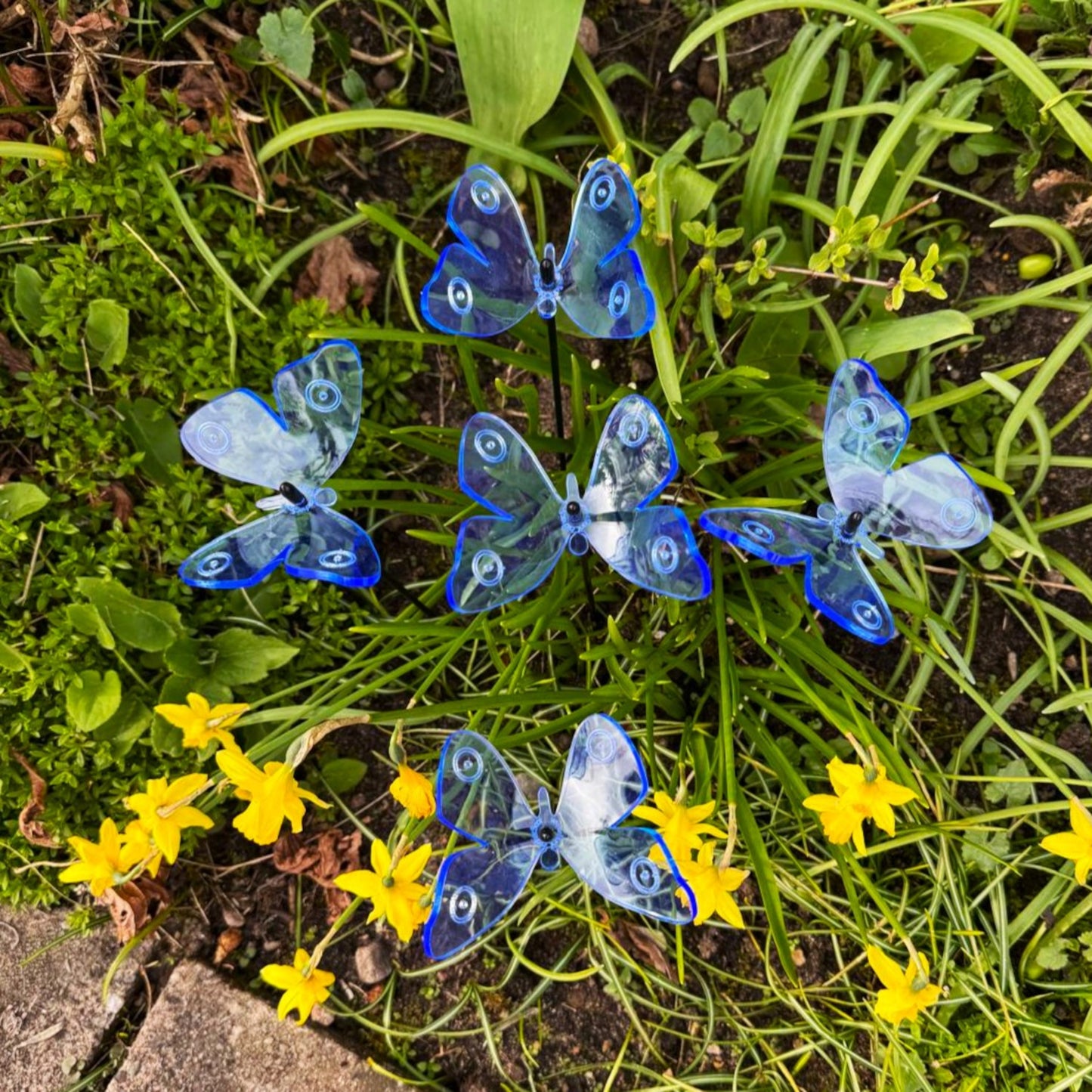SunCatcher Admiral Butterfly Garden Stakes – Set of 5 3D Fluorescent Glowing Outdoor Garden Decorations (30cm high)