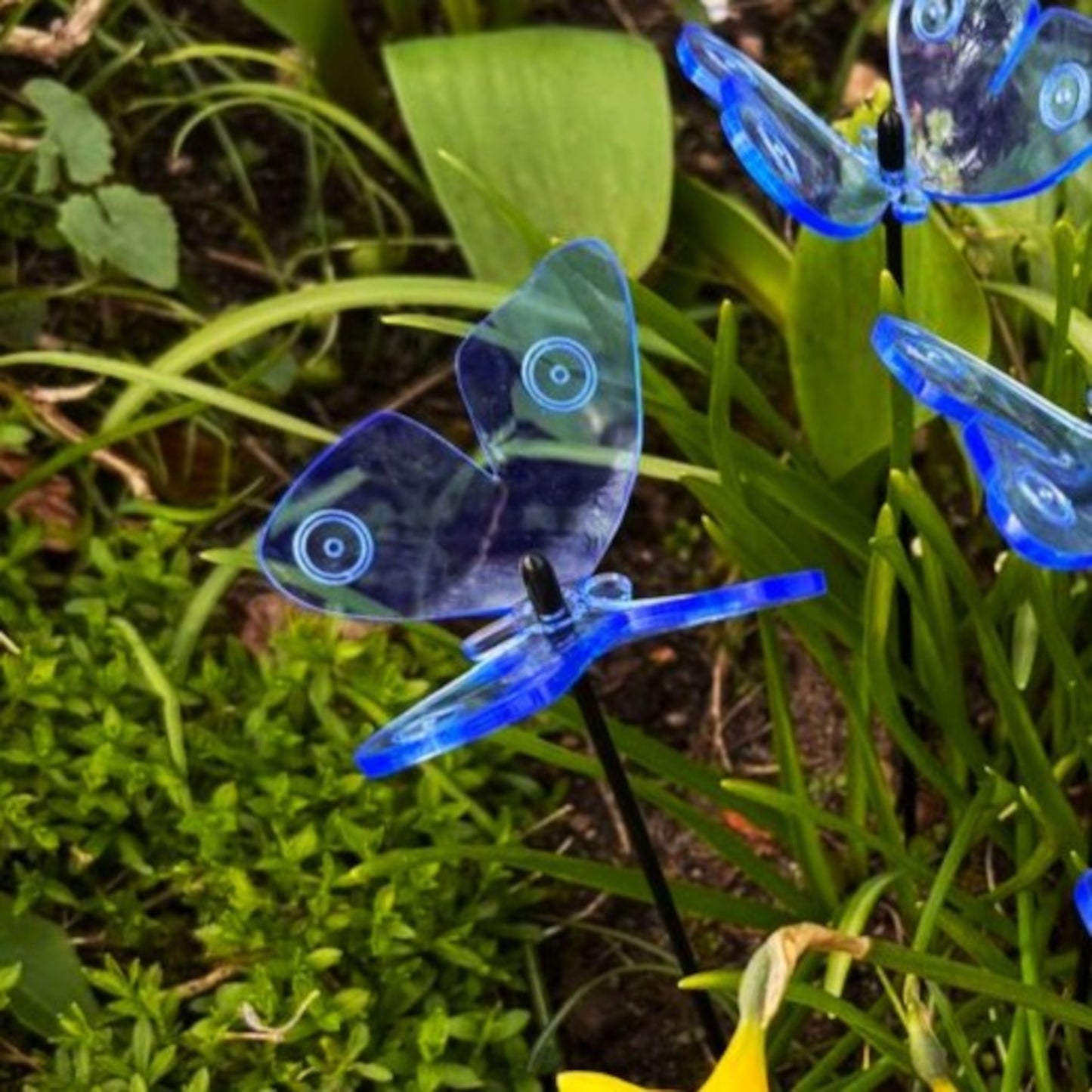 SunCatcher Admiral Butterfly Garden Stakes – Set of 5 3D Fluorescent Glowing Outdoor Garden Decorations (30cm high)