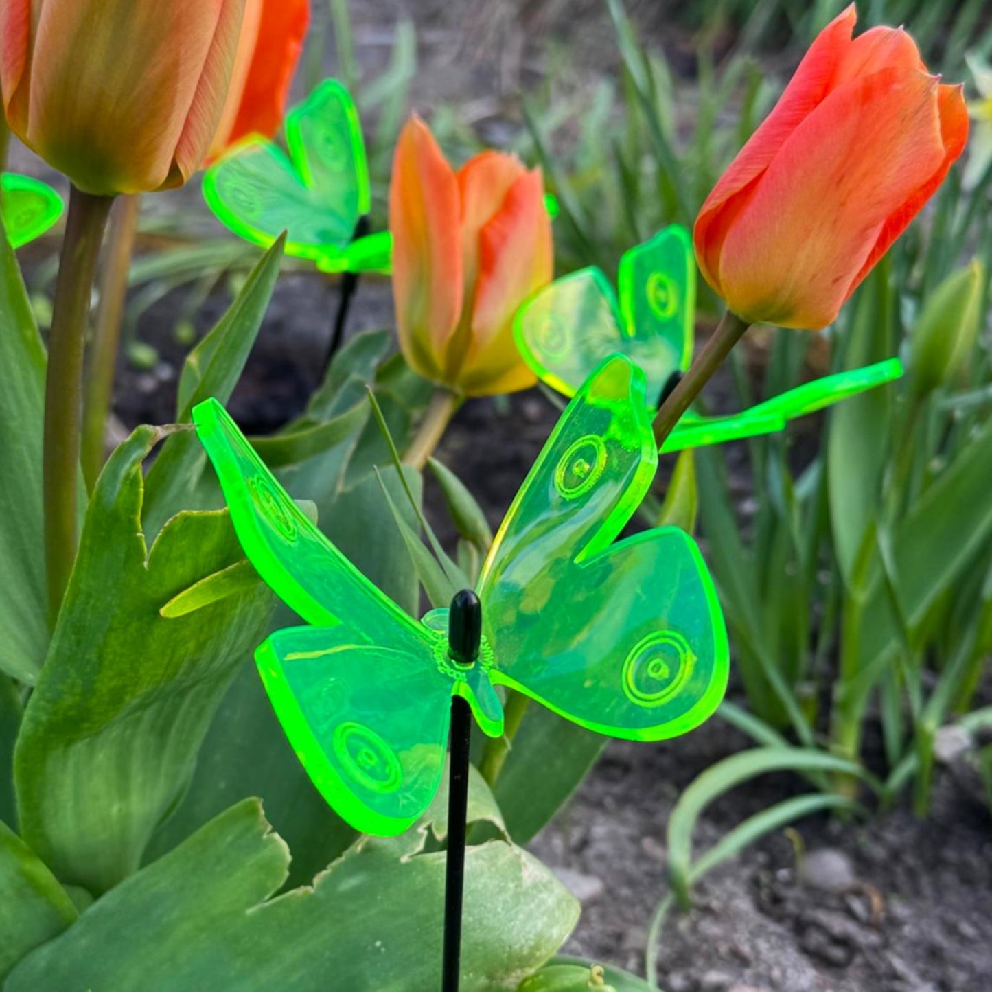 SunCatcher Admiral Butterfly Garden Stakes – Set of 5 3D Fluorescent Glowing Outdoor Garden Decorations (30cm high)
