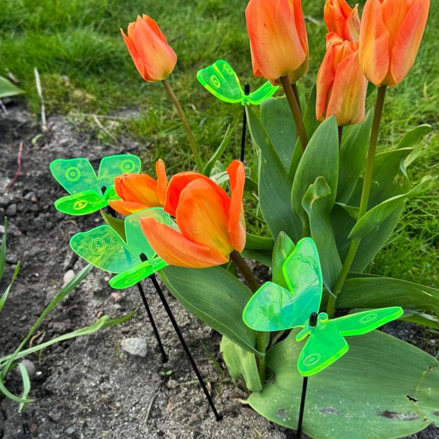 SunCatcher Admiral Butterfly Garden Stakes – Set of 5 3D Fluorescent Glowing Outdoor Garden Decorations (30cm high)