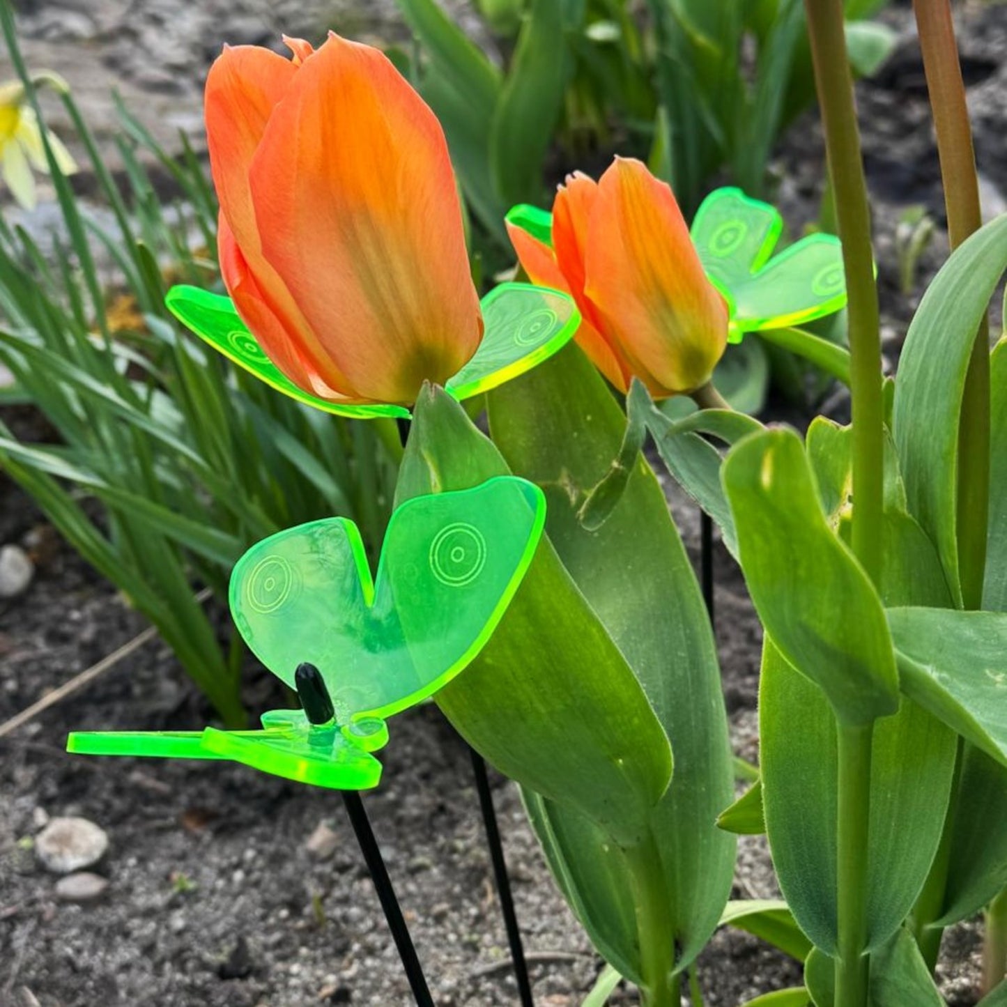 SunCatcher Admiral Butterfly Garden Stakes – Set of 5 3D Fluorescent Glowing Outdoor Garden Decorations (30cm high)