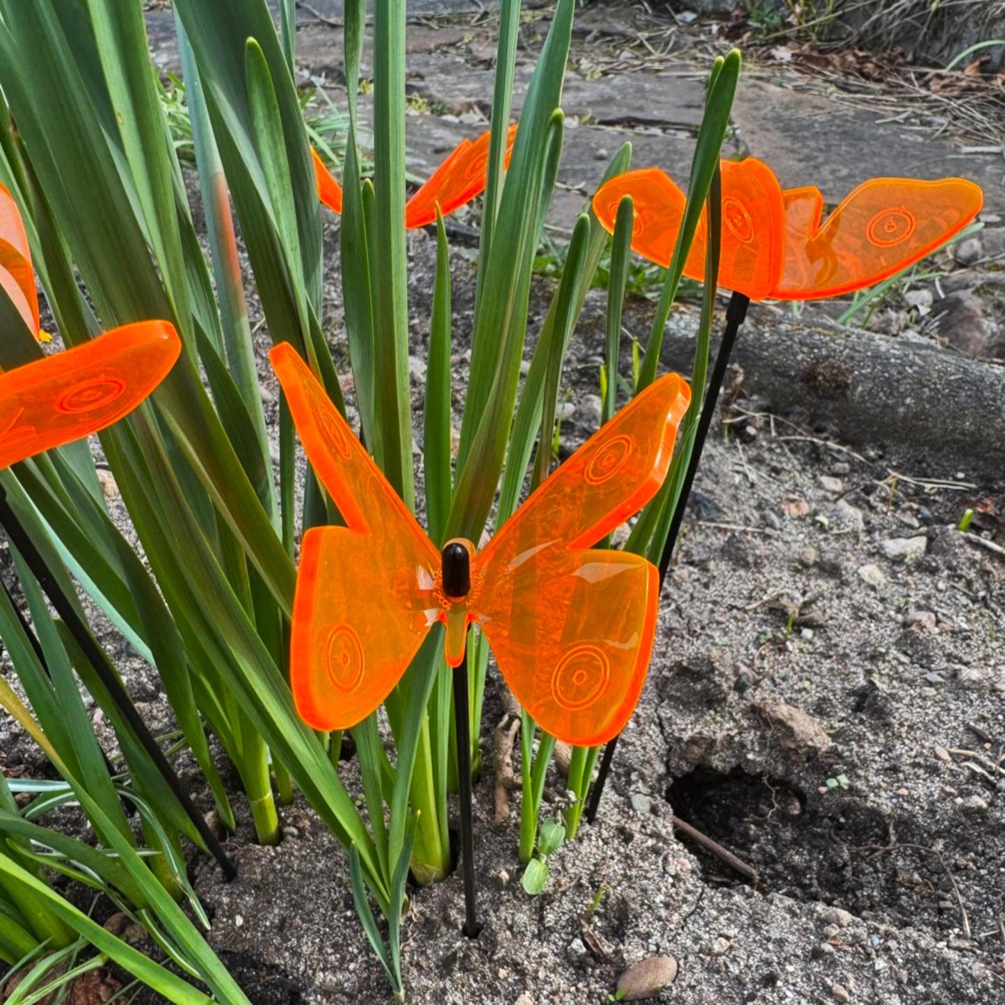 SunCatcher Admiral Butterfly Garden Stakes – Set of 5 3D Fluorescent Glowing Outdoor Garden Decorations (30cm high)