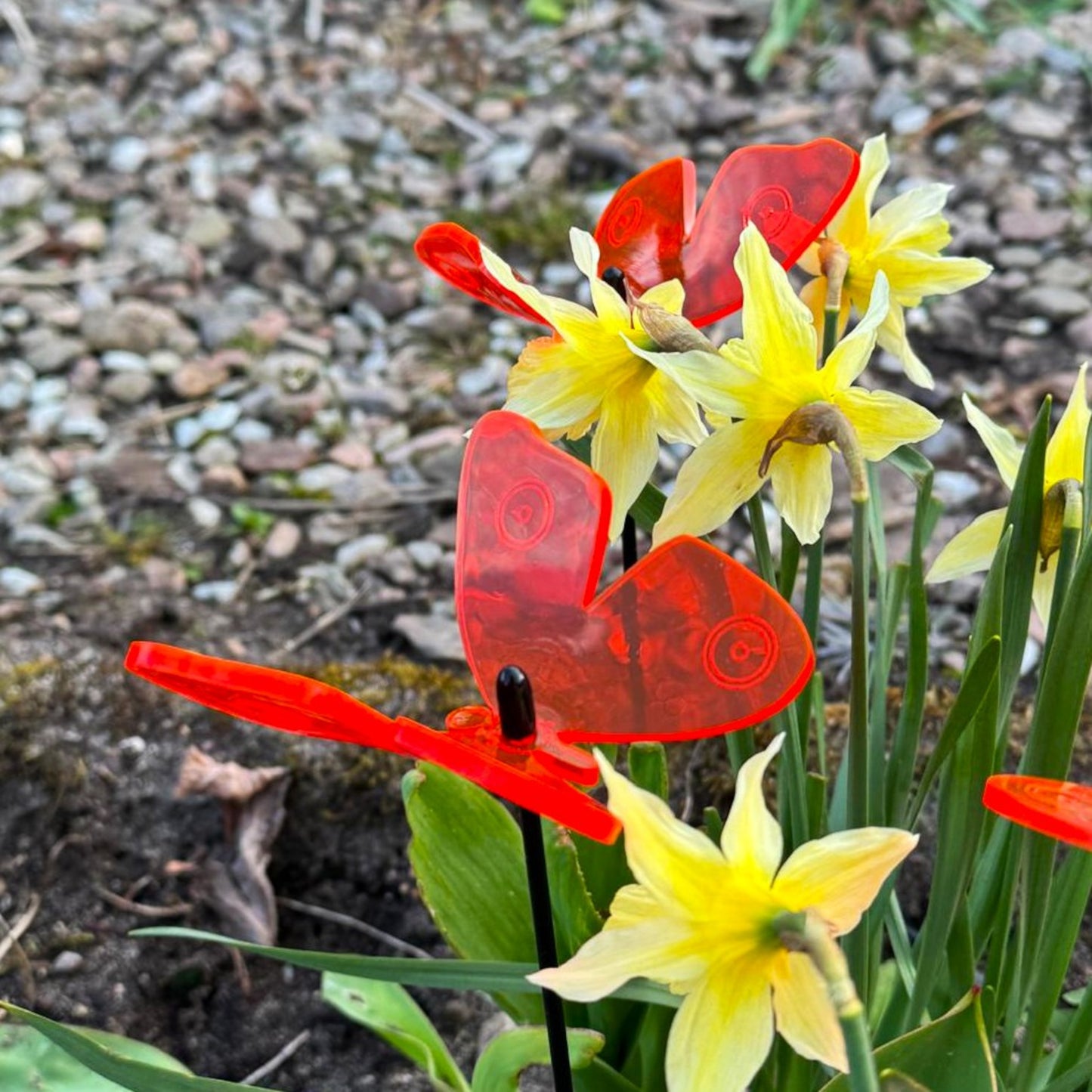 SunCatcher Admiral Butterfly Garden Stakes – Set of 5 3D Fluorescent Glowing Outdoor Garden Decorations (30cm high)