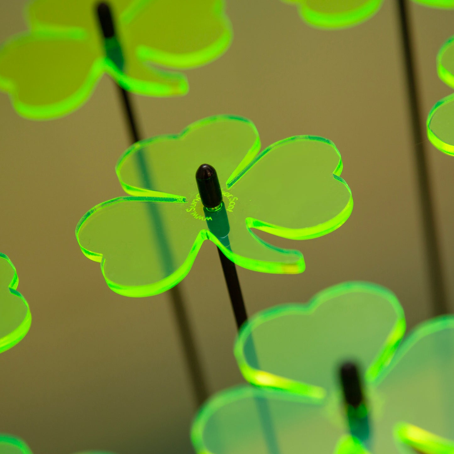 Trevor Shamrock Sales Display