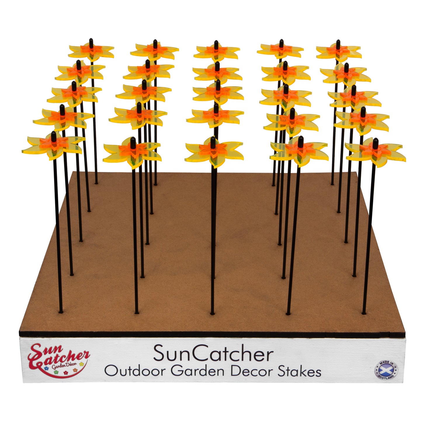 Sales Display Trevor Daffodil