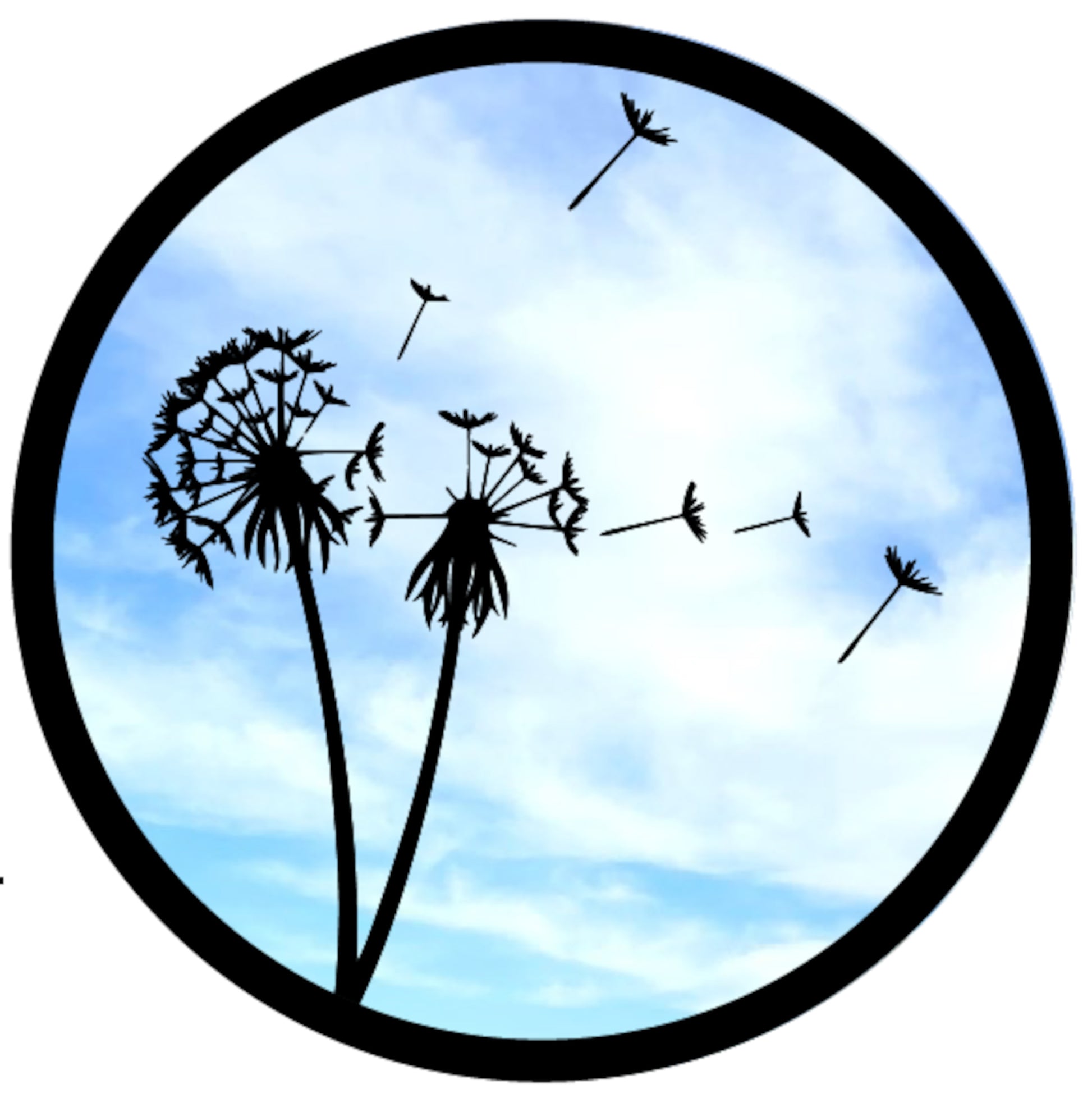Dandelions SunCatcher Garden Mirror Round Range of Sizes Gift for Gardener