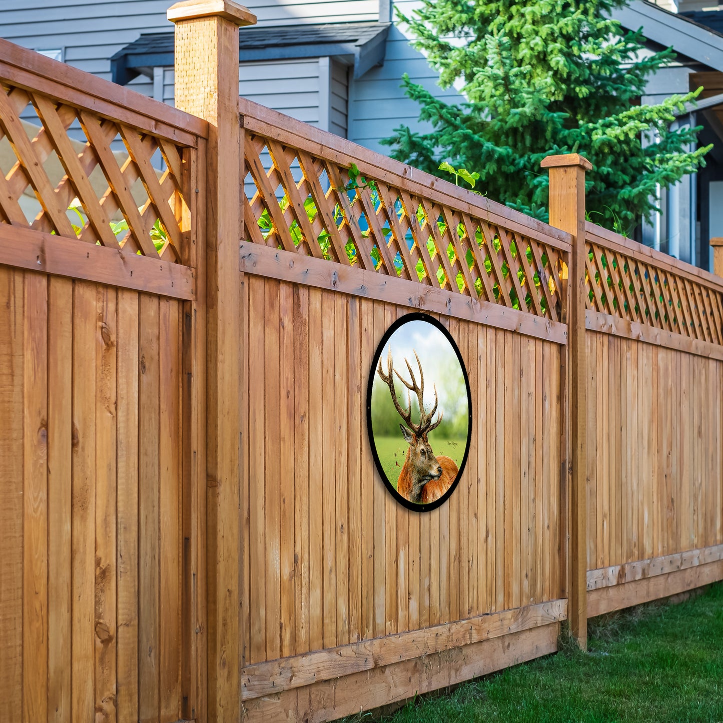 SunCatcher Garden Mirror Sutherland, the Highland Stag, Illustrations by Bree Merryn