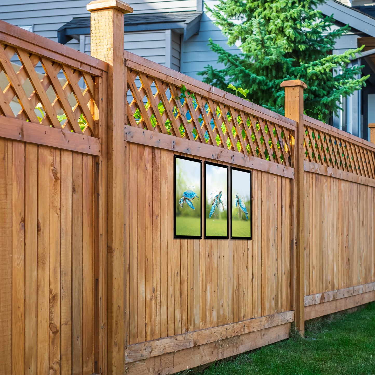 SunCatcher Garden Mirror Set 3 Turtle Tribe Illustrations by Bree Merryn