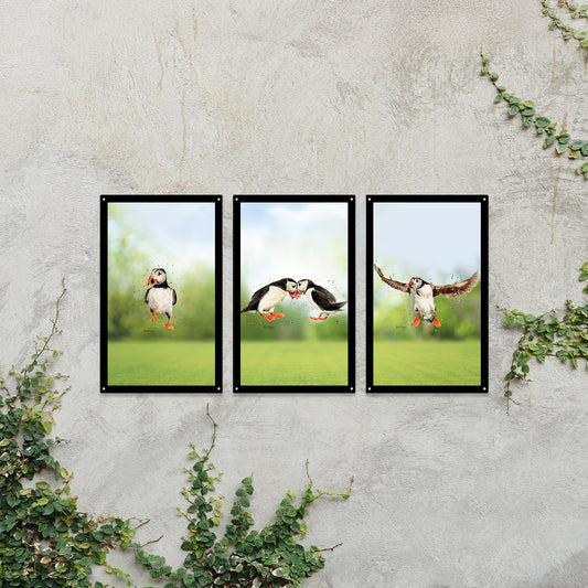 SunCatcher Garden Mirror Set 3 Puffin Parade by Bree Merryn