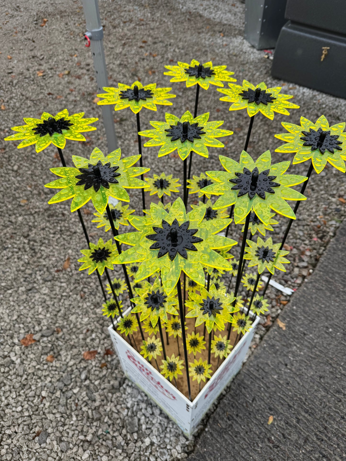 Tabitha Sunflowers Sales Display