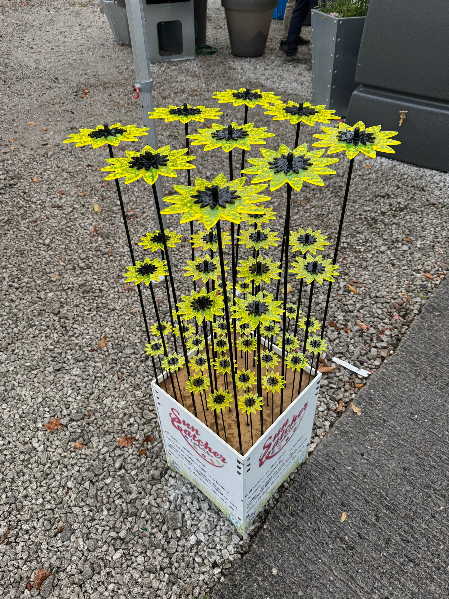 Tabitha Sunflowers Sales Display