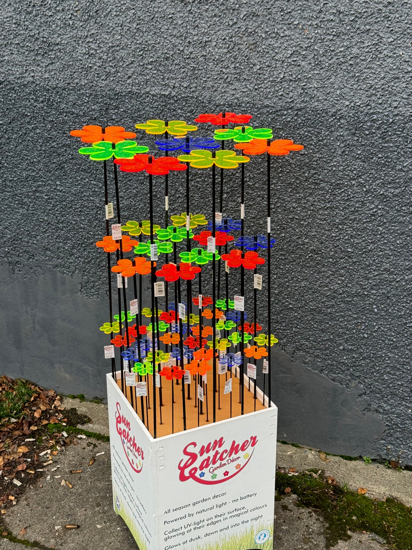 Sales Display Tabitha Daisy