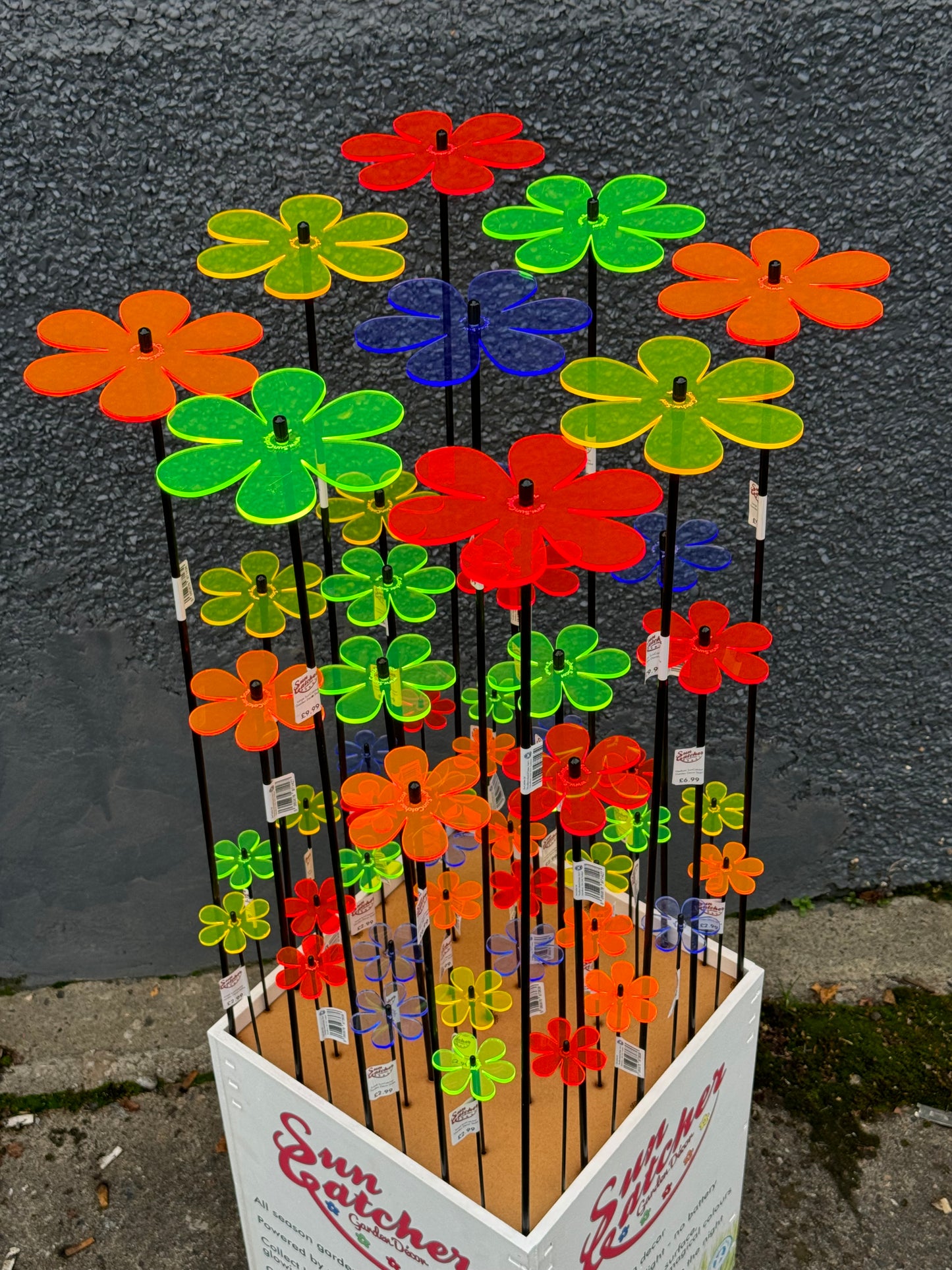 Sales Display Tabitha Daisy