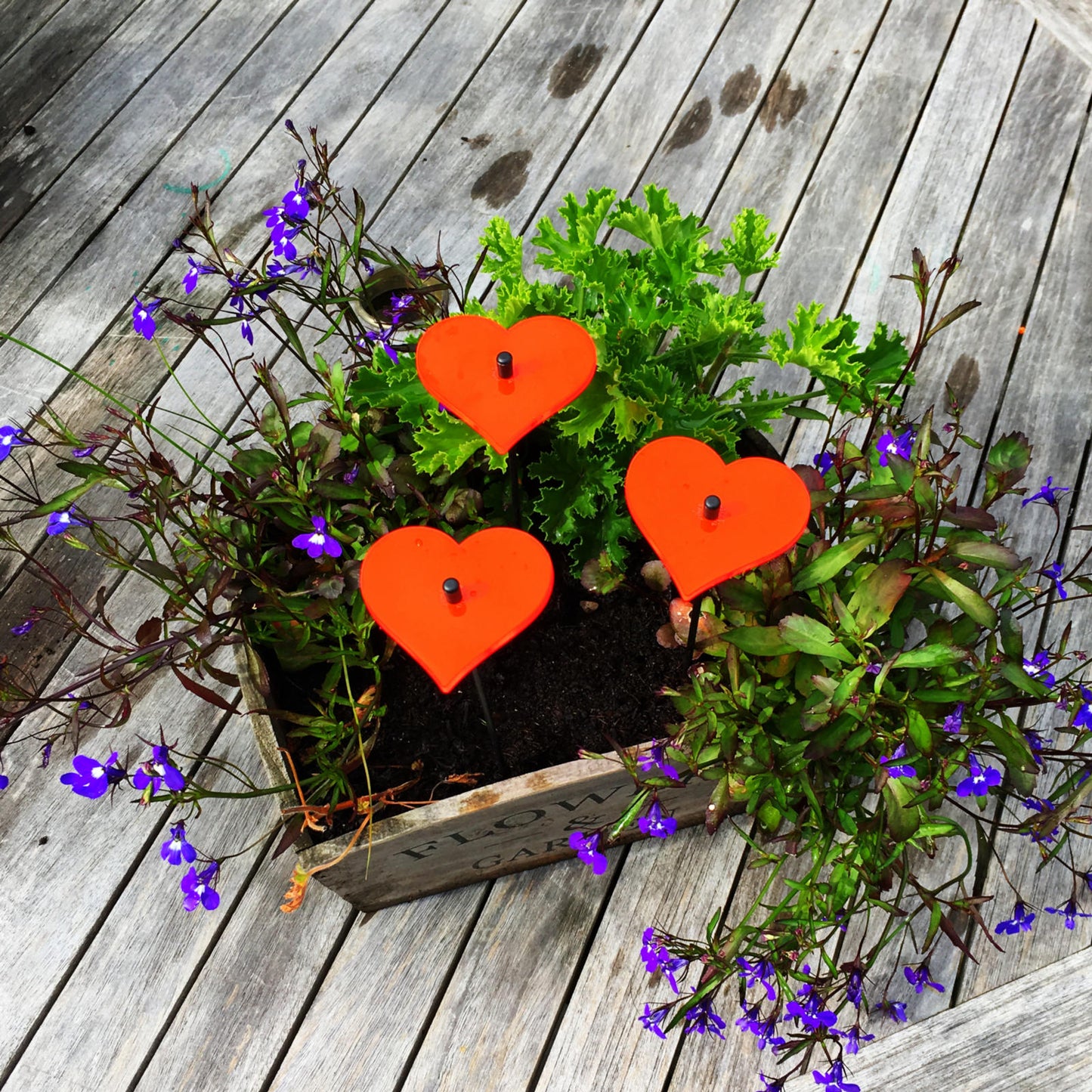 SunCatcher Set of 3: Heart glowing garden decor fluorescent love decor valentine