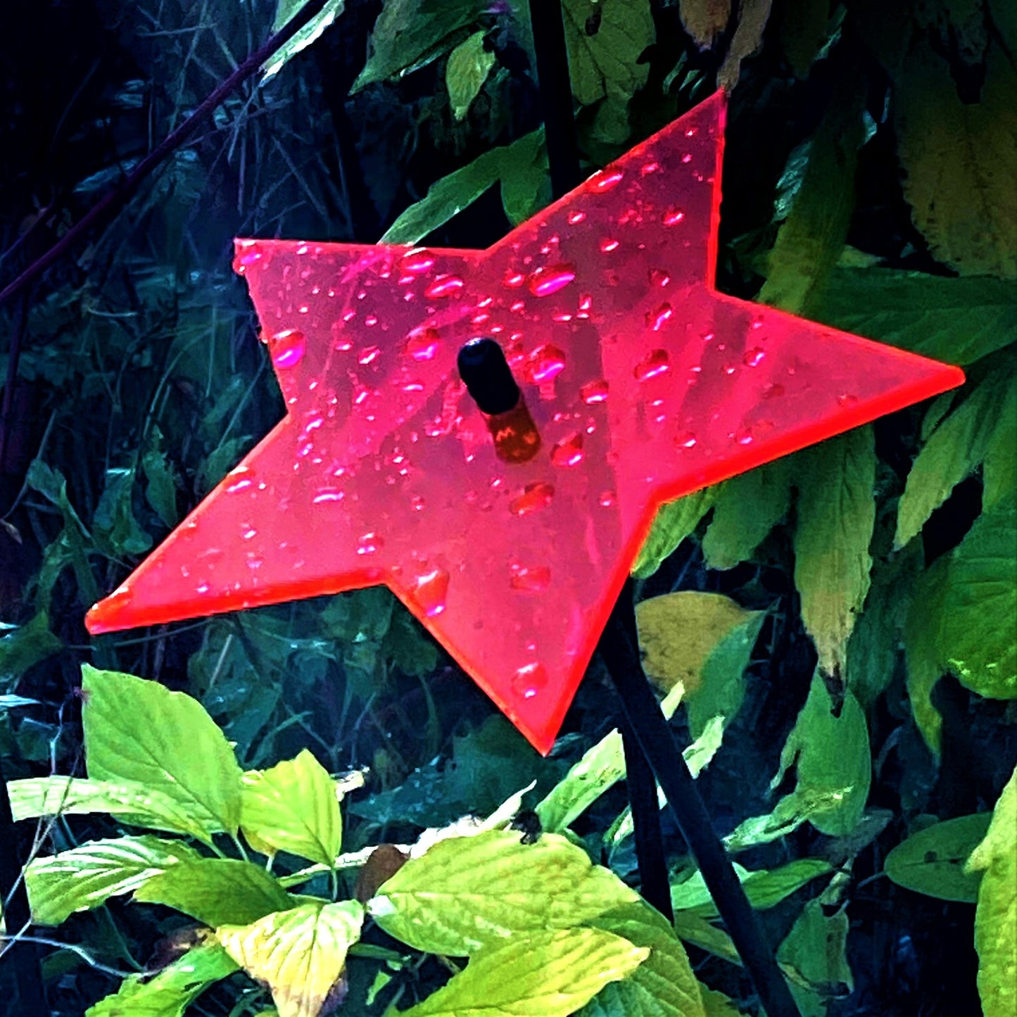 Large SunCatcher Garden Décor Ornament 'Shining Star'