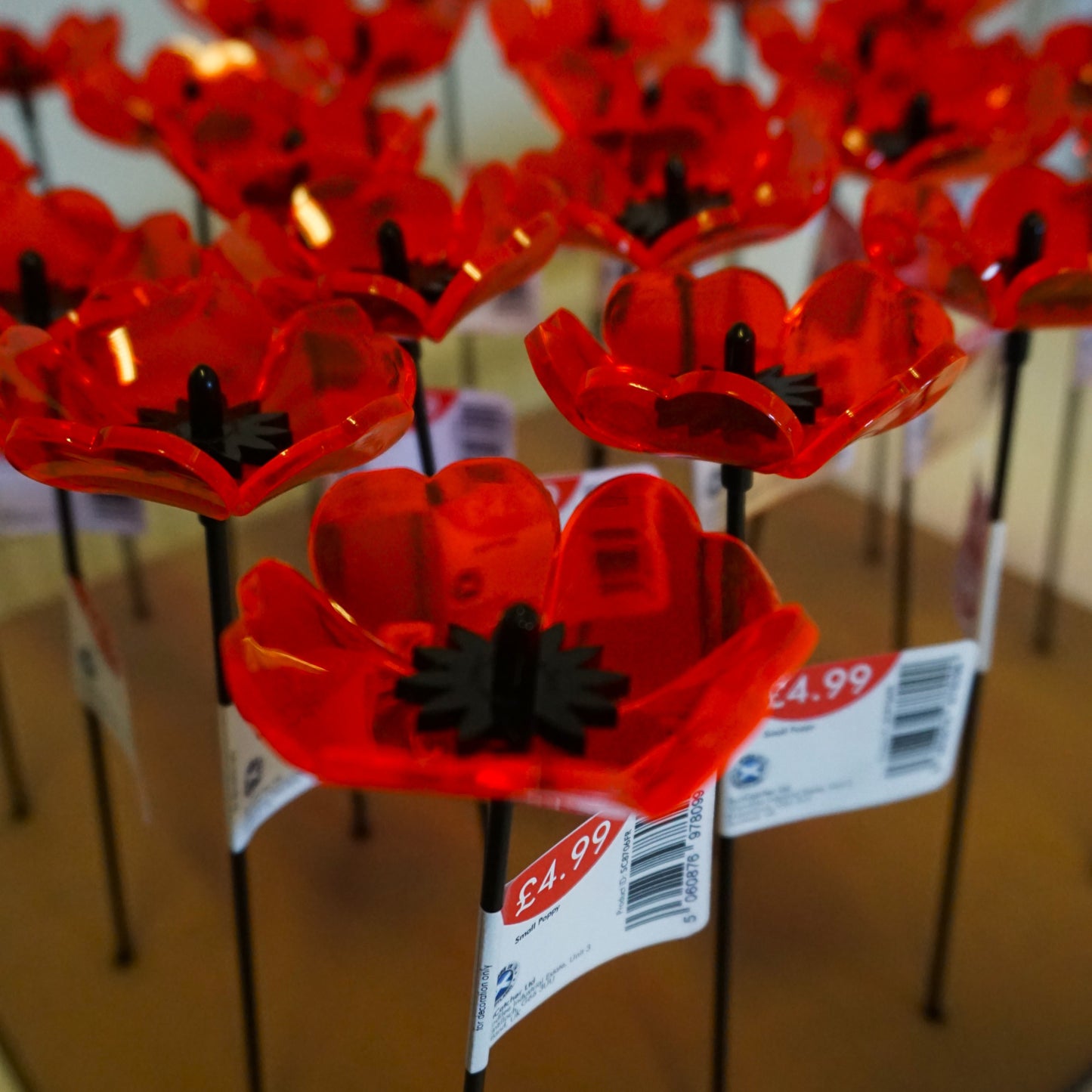 Sales Display Trevor Poppies