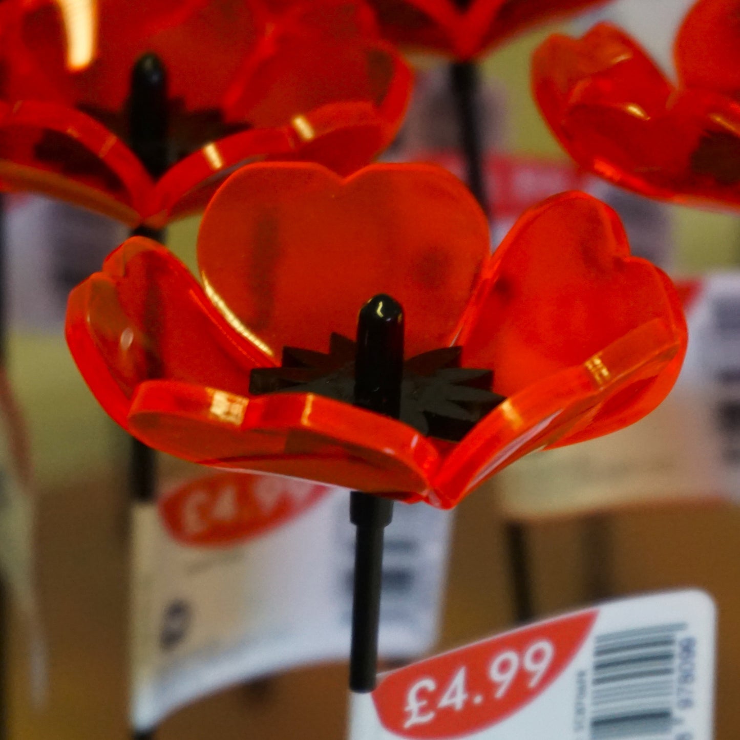 Sales Display Trevor Poppies