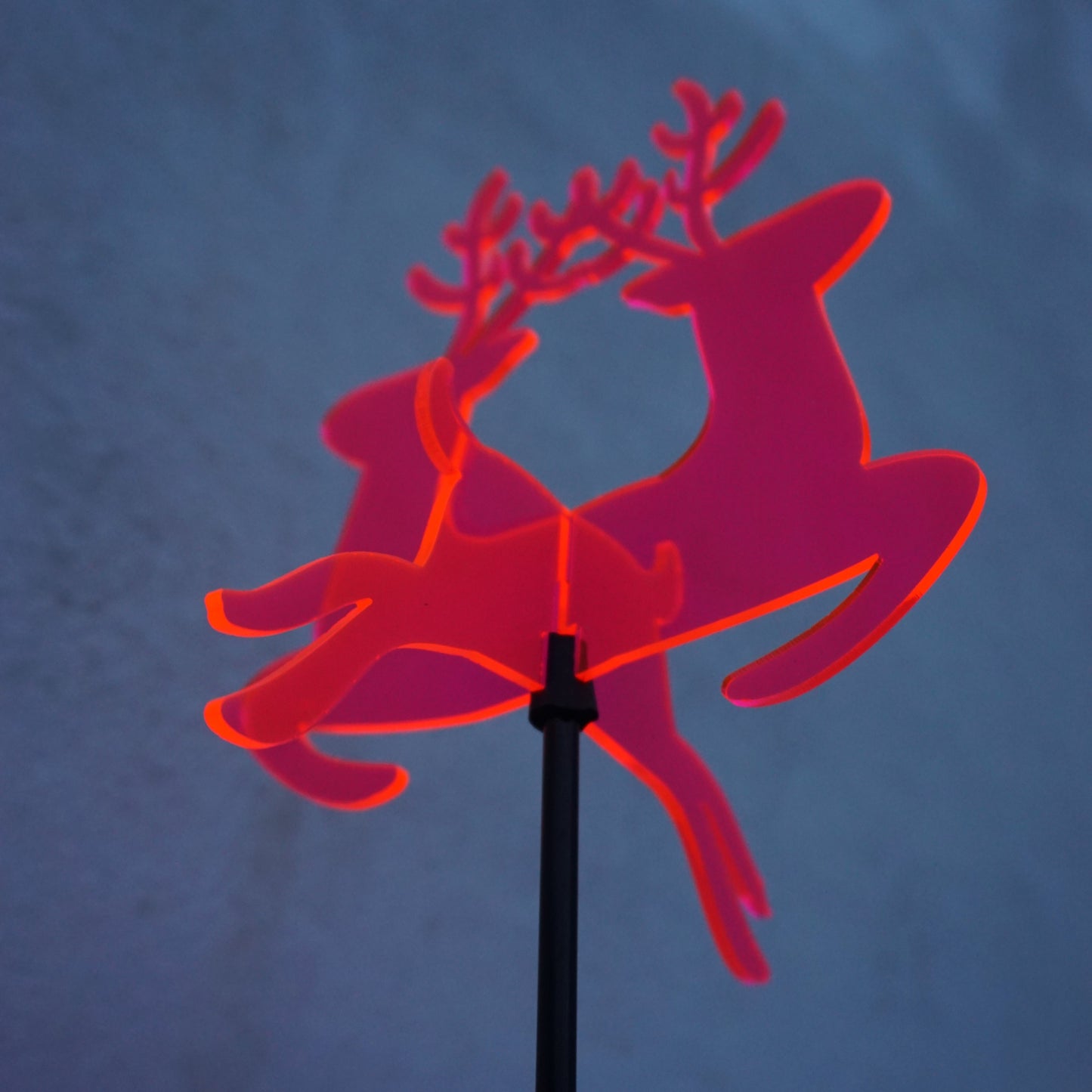 Sales Display Tabitha Christmas