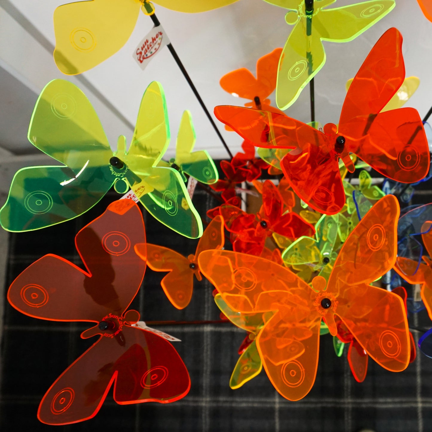 Sales Display Tabitha Admiral Butterfly