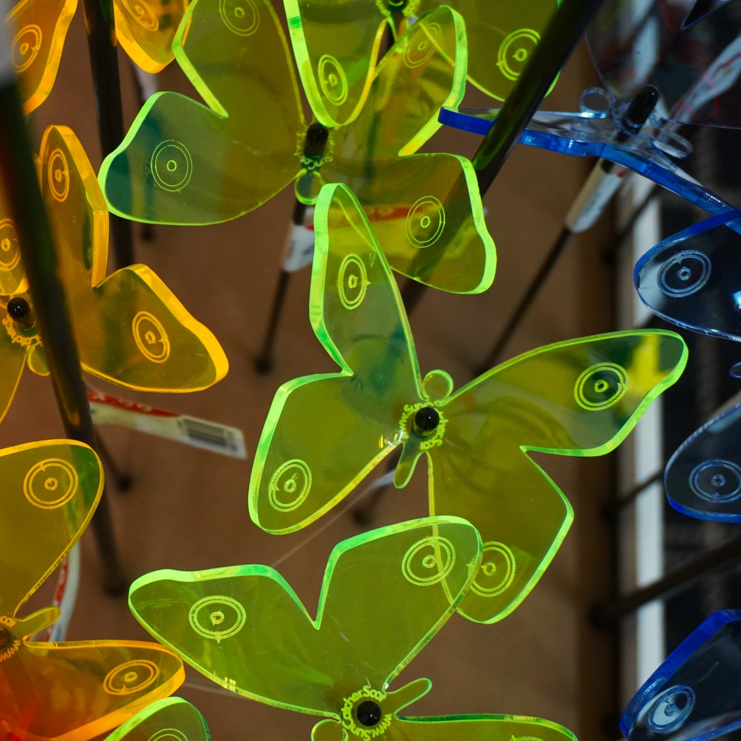 Sales Display Tabitha Admiral Butterfly