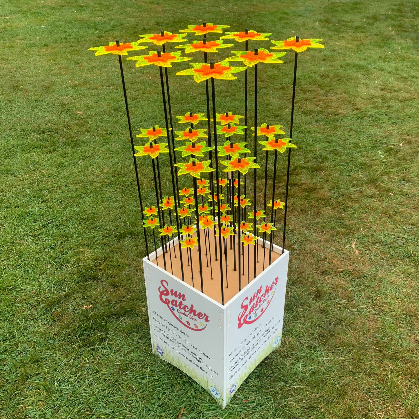 Tabitha Daffodils Sales Display