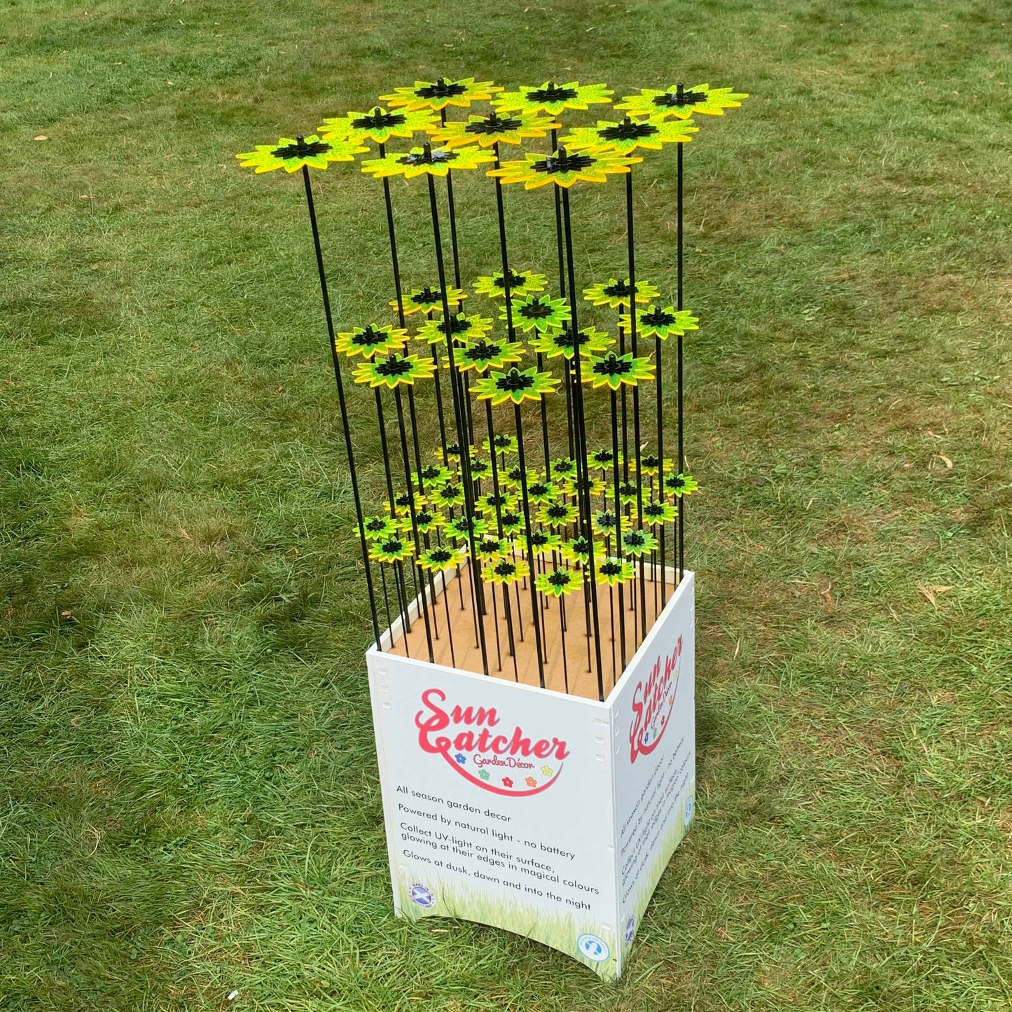 Tabitha Sunflowers Sales Display