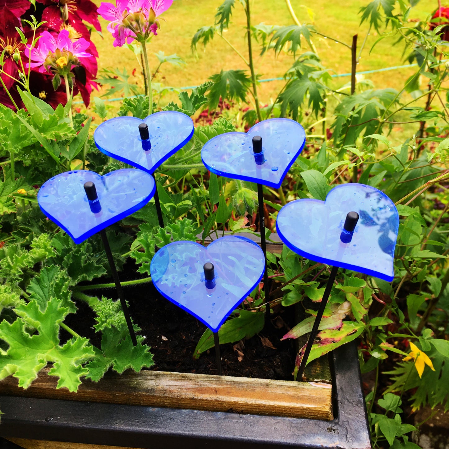 Small SunCatcher Garden Decor Ornament Set of 5 Hearts in blue