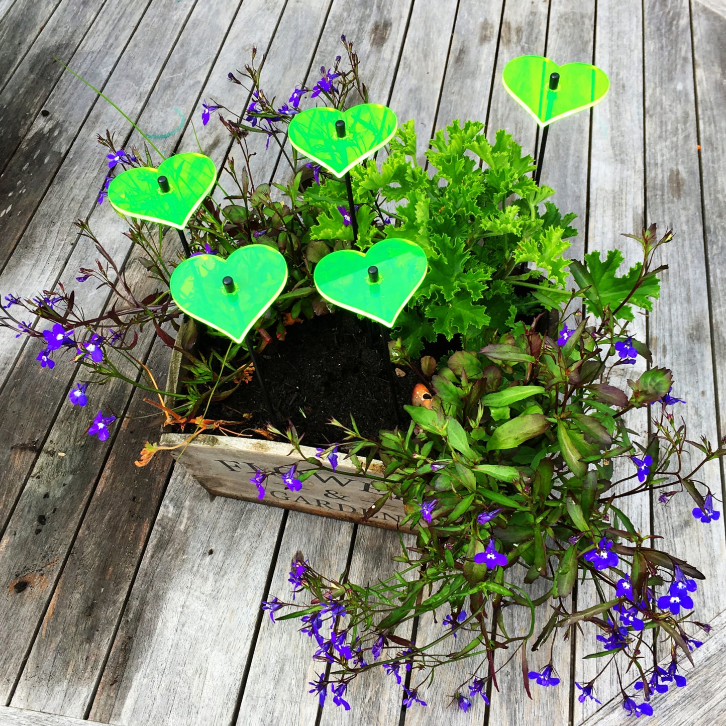 Small SunCatcher Garden Decor Ornament Set of 5 Hearts in green