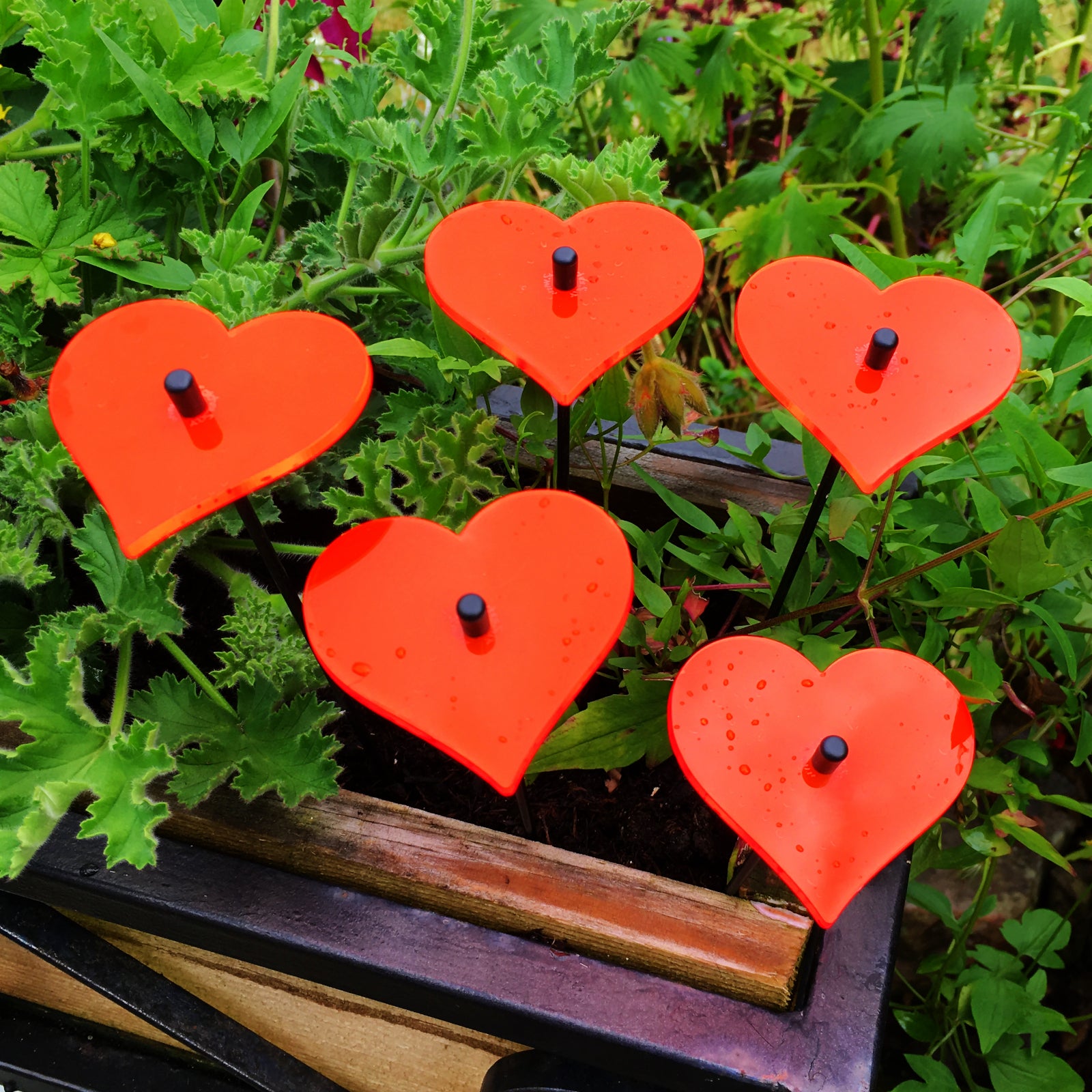 Small SunCatcher Garden Decor Ornament Set of 5 Hearts in red