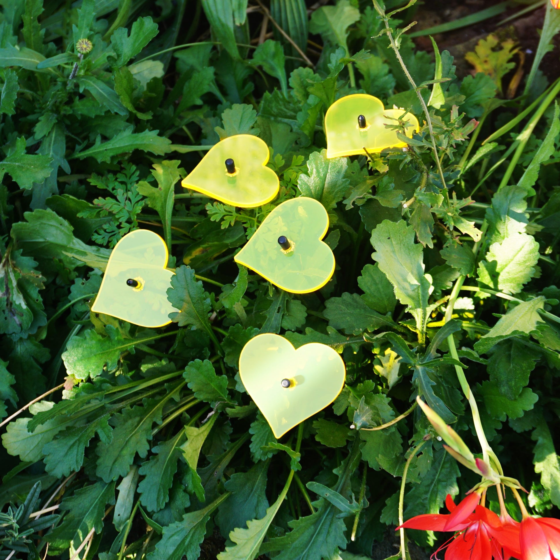Small SunCatcher Garden Decor Ornament Set of 5 Hearts in yellow