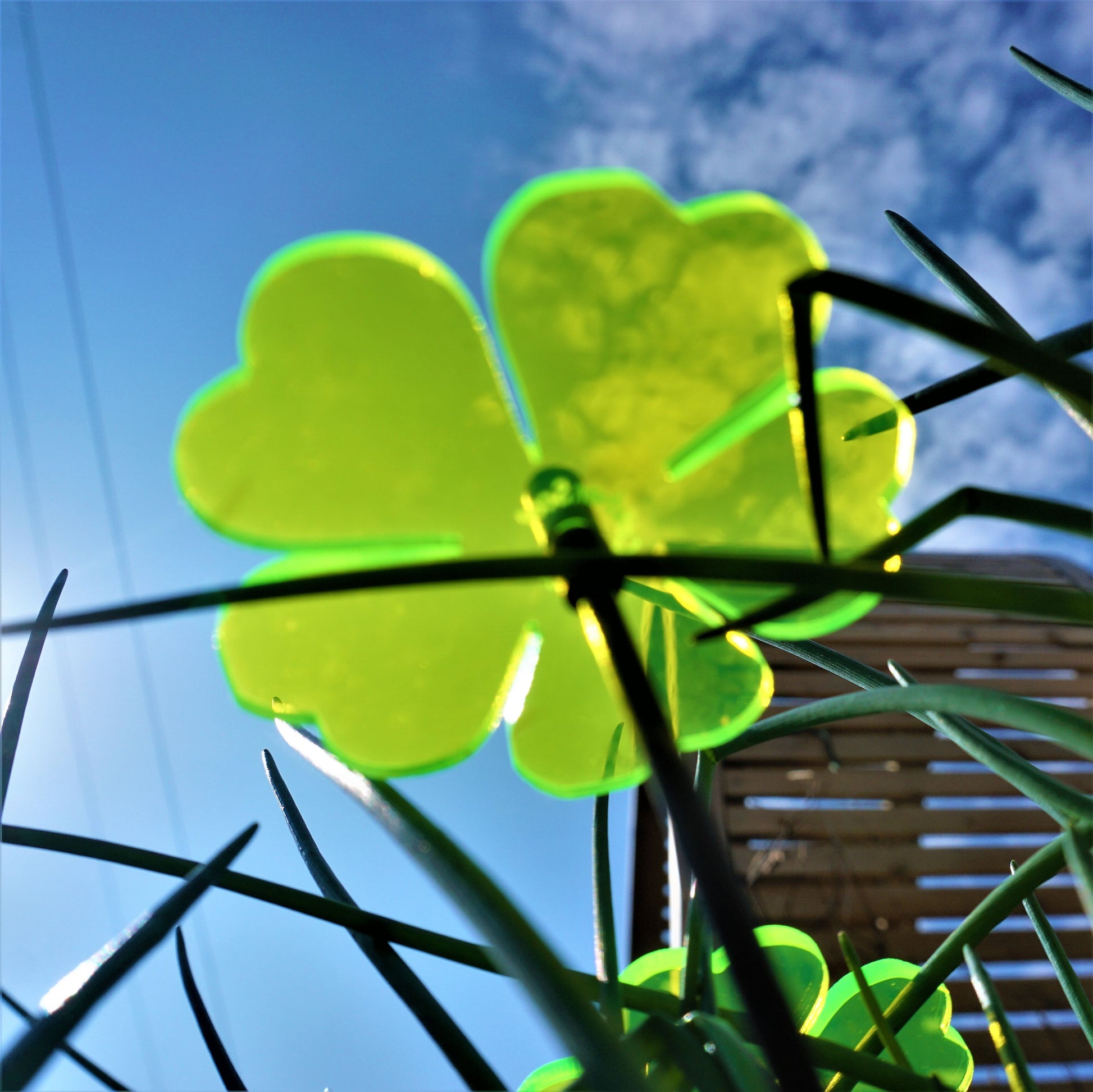 SunCatcher Set of 5: Double Blossom 25cm high Colourful Garden Stake Decoration