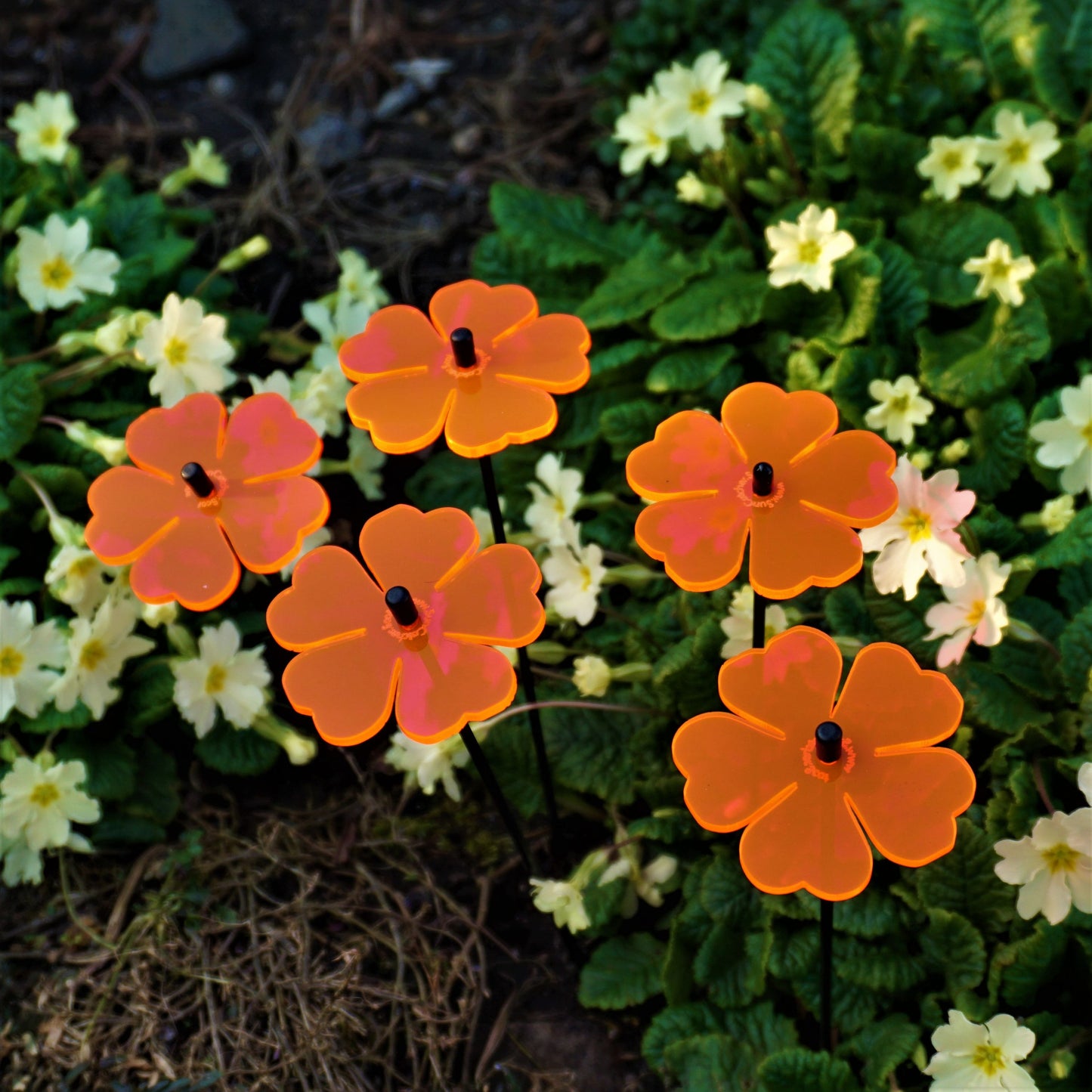 SunCatcher Set of 5: Double Blossom 25cm high Colourful Garden Stake Decoration