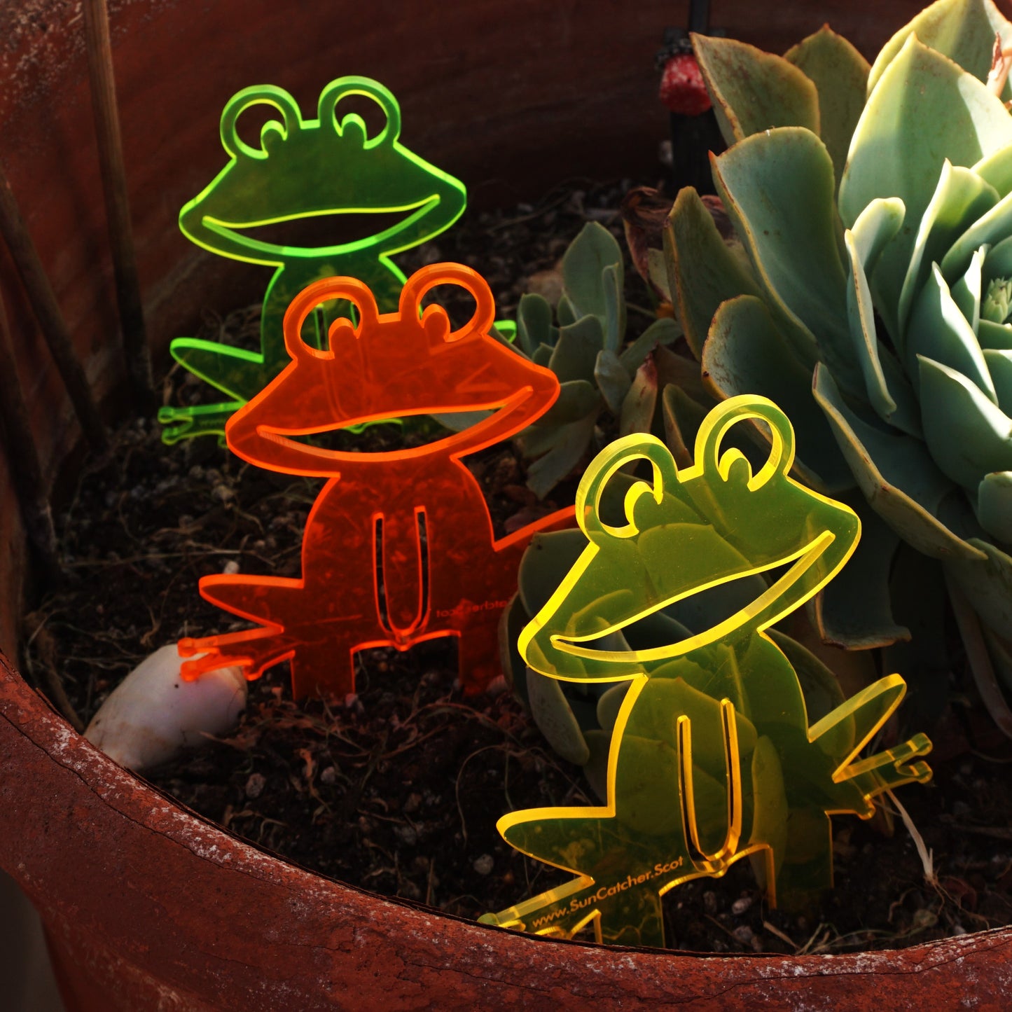 SunCatcher Set of 5 'Happy Frogs' fluorescent garden stake for pot and pond