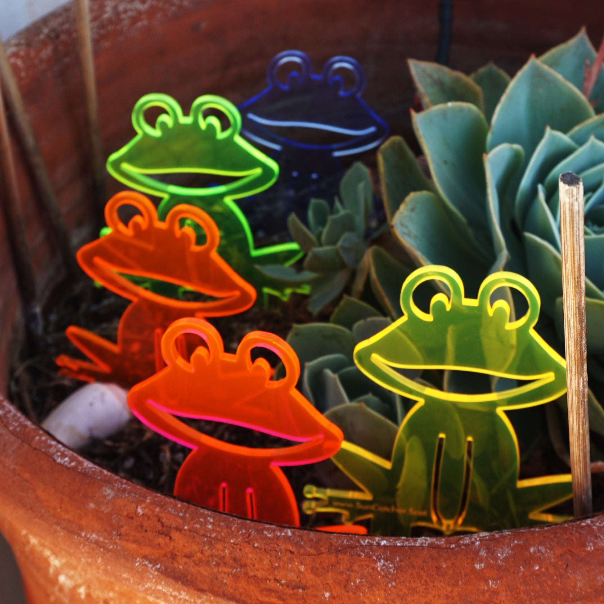 SunCatcher Set of 5 'Happy Frogs' fluorescent garden stake for pot and pond