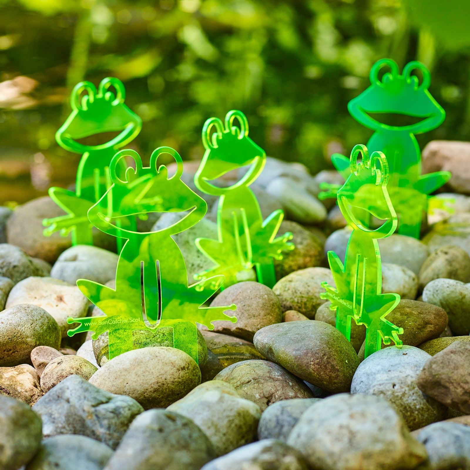SunCatcher Set of 5 'Happy Frogs' fluorescent garden stake for pot and pond