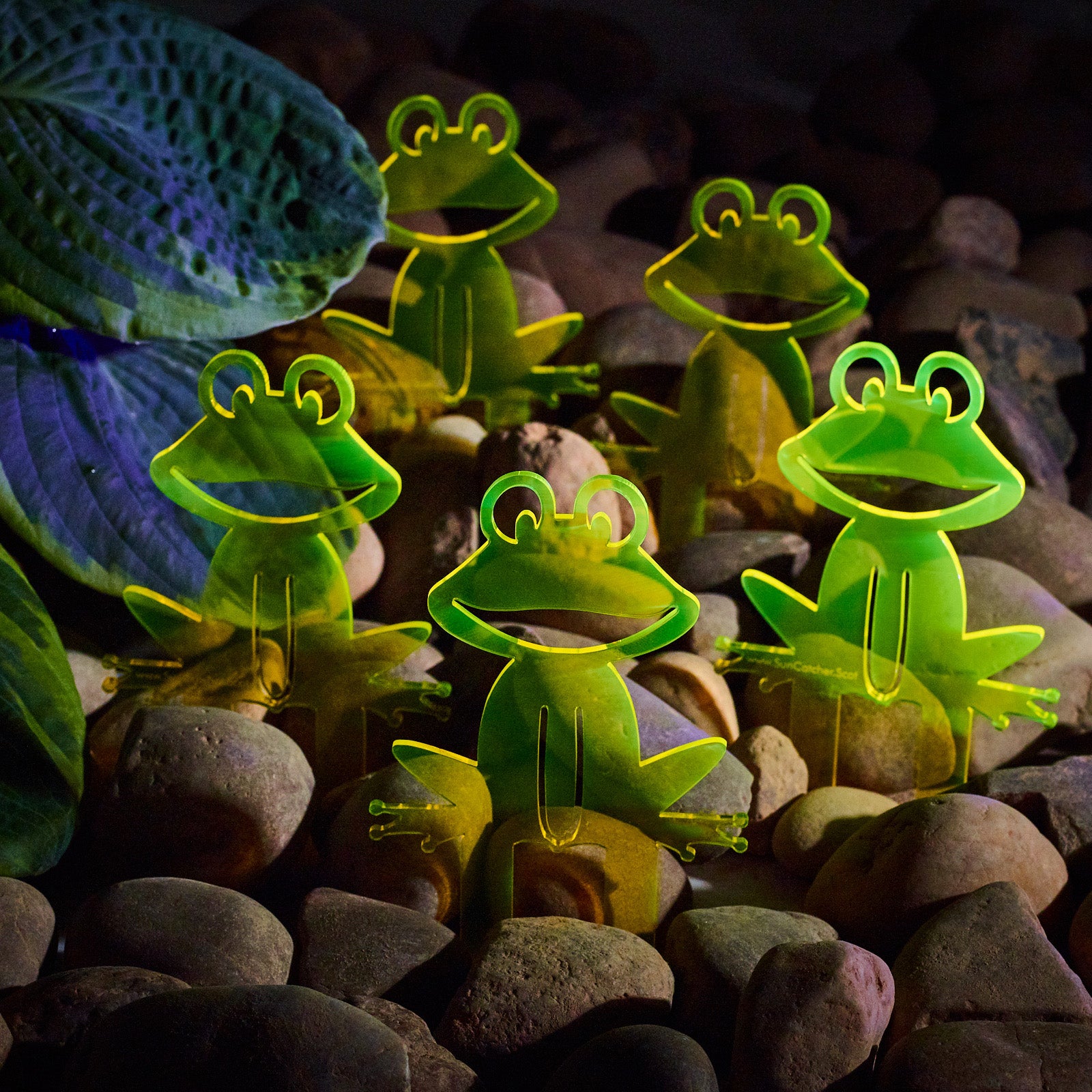 SunCatcher Set of 5 'Happy Frogs' fluorescent garden stake for pot and pond